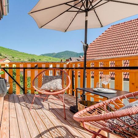 Vinum.Lodge Spitz In Der Wachau 斯皮茨 外观 照片